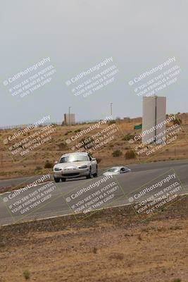 media/May-03-2025-Lucky Dog Racing (Sat) [[206de64b9d]]/Turn 6 (150pm-230pm)/